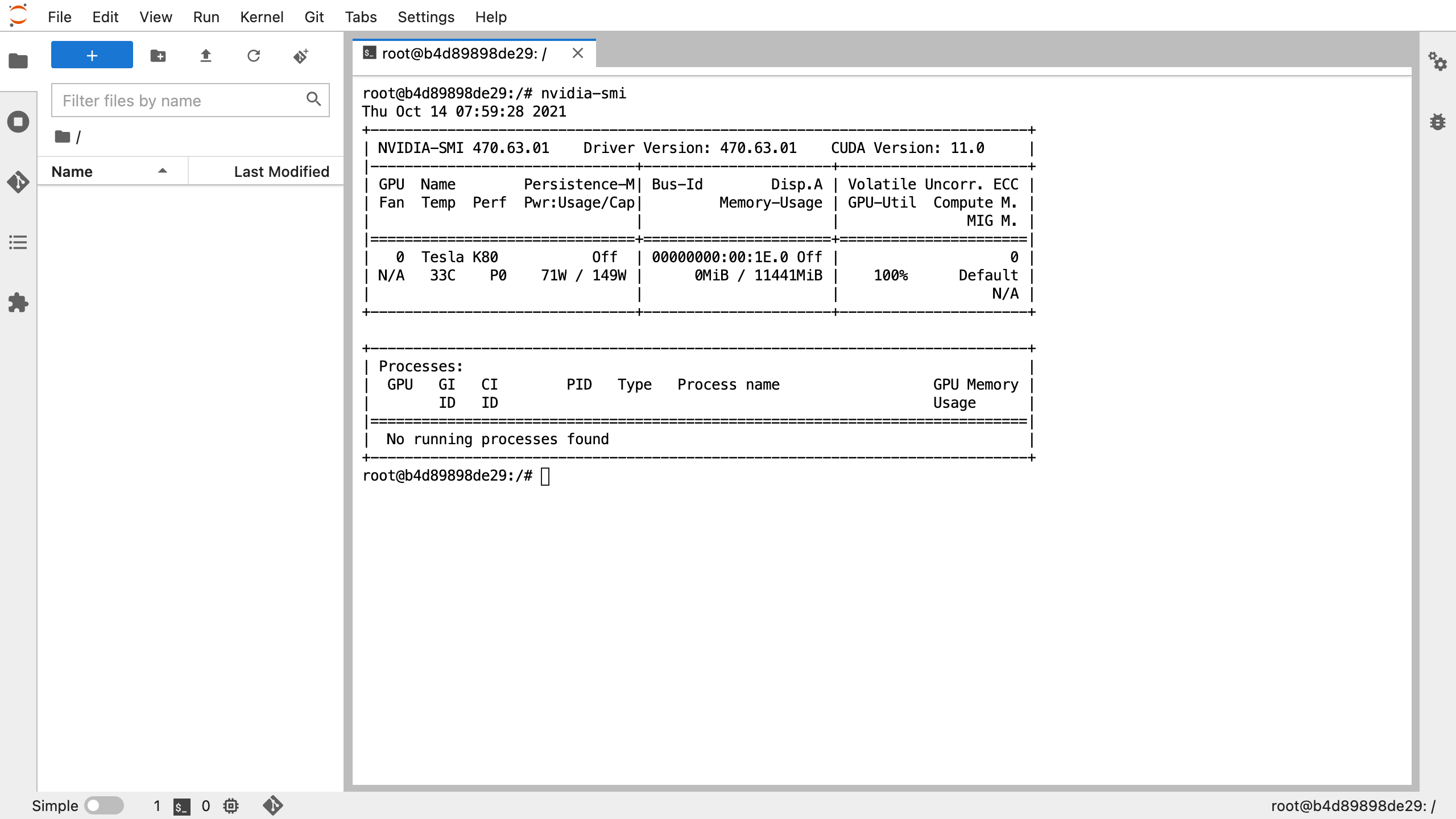 Kaggle Terminal